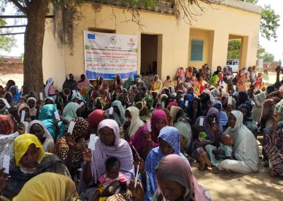 Integrated response to emergency needs in Nutrition, WASH, Health, Protection and FSL for recently displaced people and other conflictaffected populations in West and Central Darfur, Khartoum and in other severely affected areas across Sudan